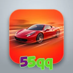 55qq