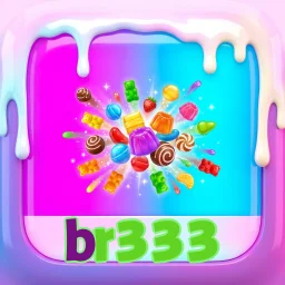 br333